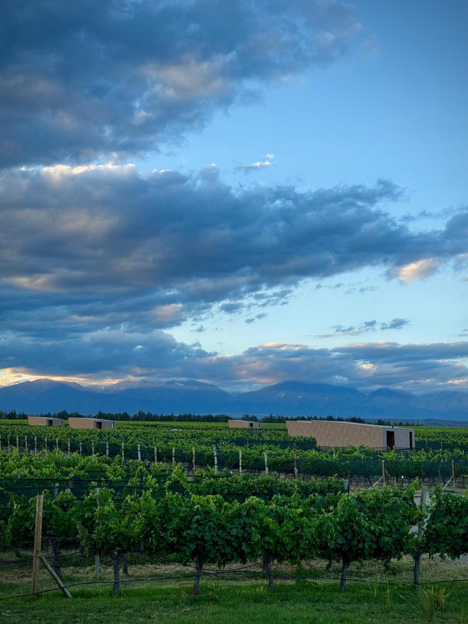 Andeluna Winery Lodge Tupungato Exterior photo