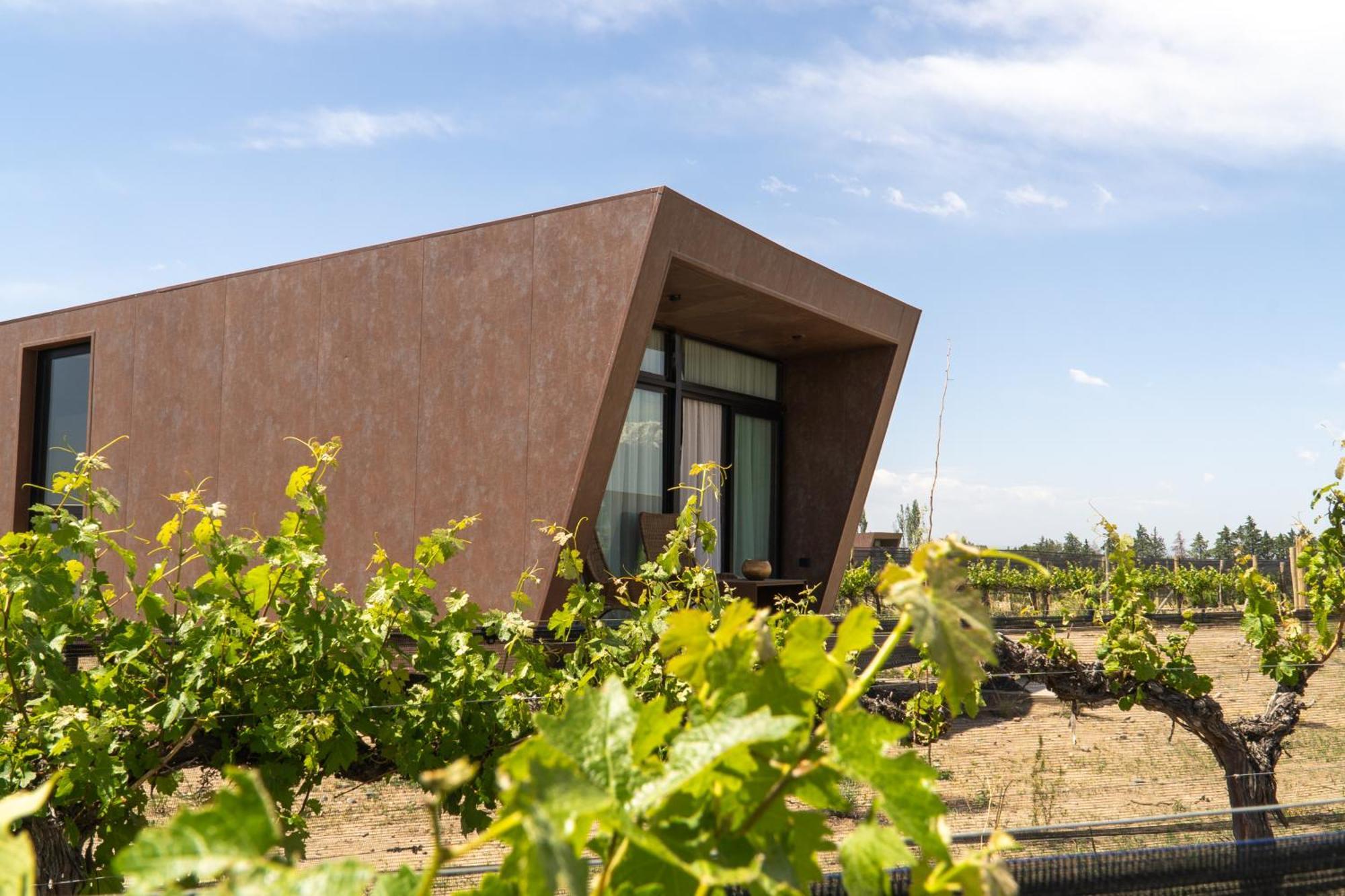 Andeluna Winery Lodge Tupungato Exterior photo